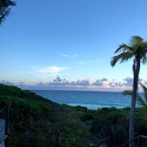 Meet your Posher, Catherine